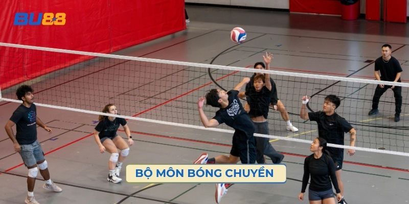 Bộ môn bóng chuyền
