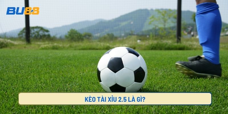 Kèo tài xỉu 2-2.5 và cách tính điểm đơn giản