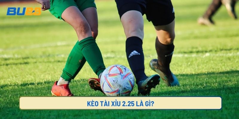Kèo tài xỉu 2.5 và cách tính điểm thắng