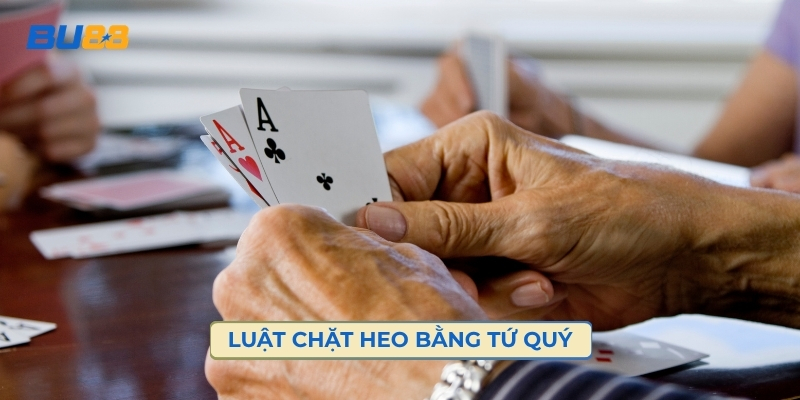 Luật Chặt Heo Bằng Tứ Quý