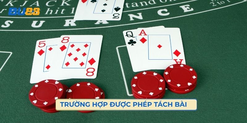 Những Trường Hợp Được Phép Tách Bài 